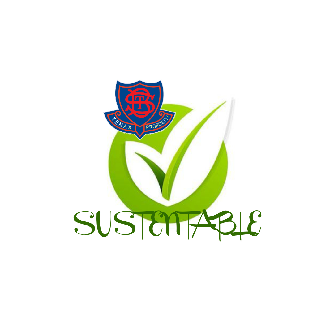 WS Sustentable