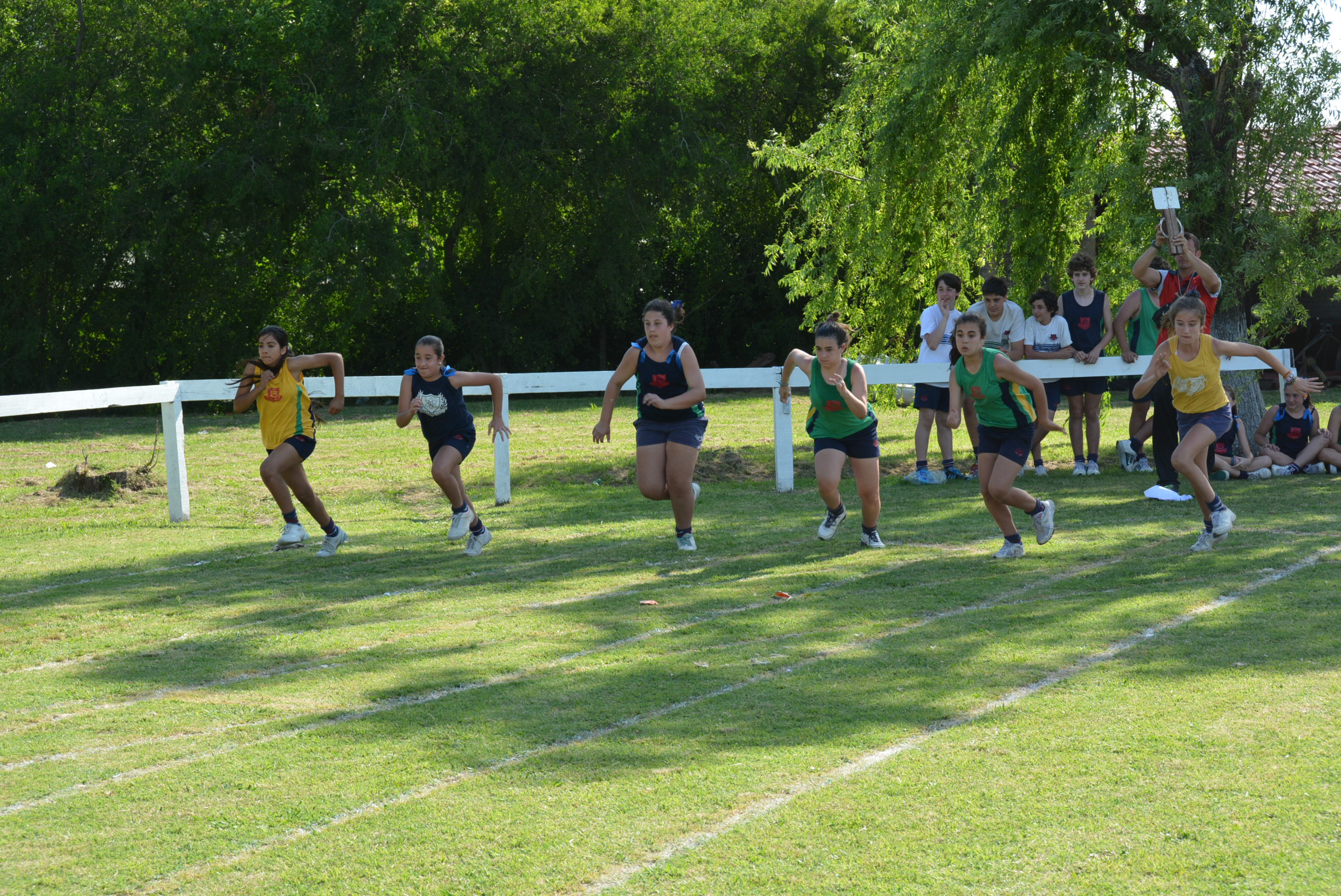 Deportes — campo